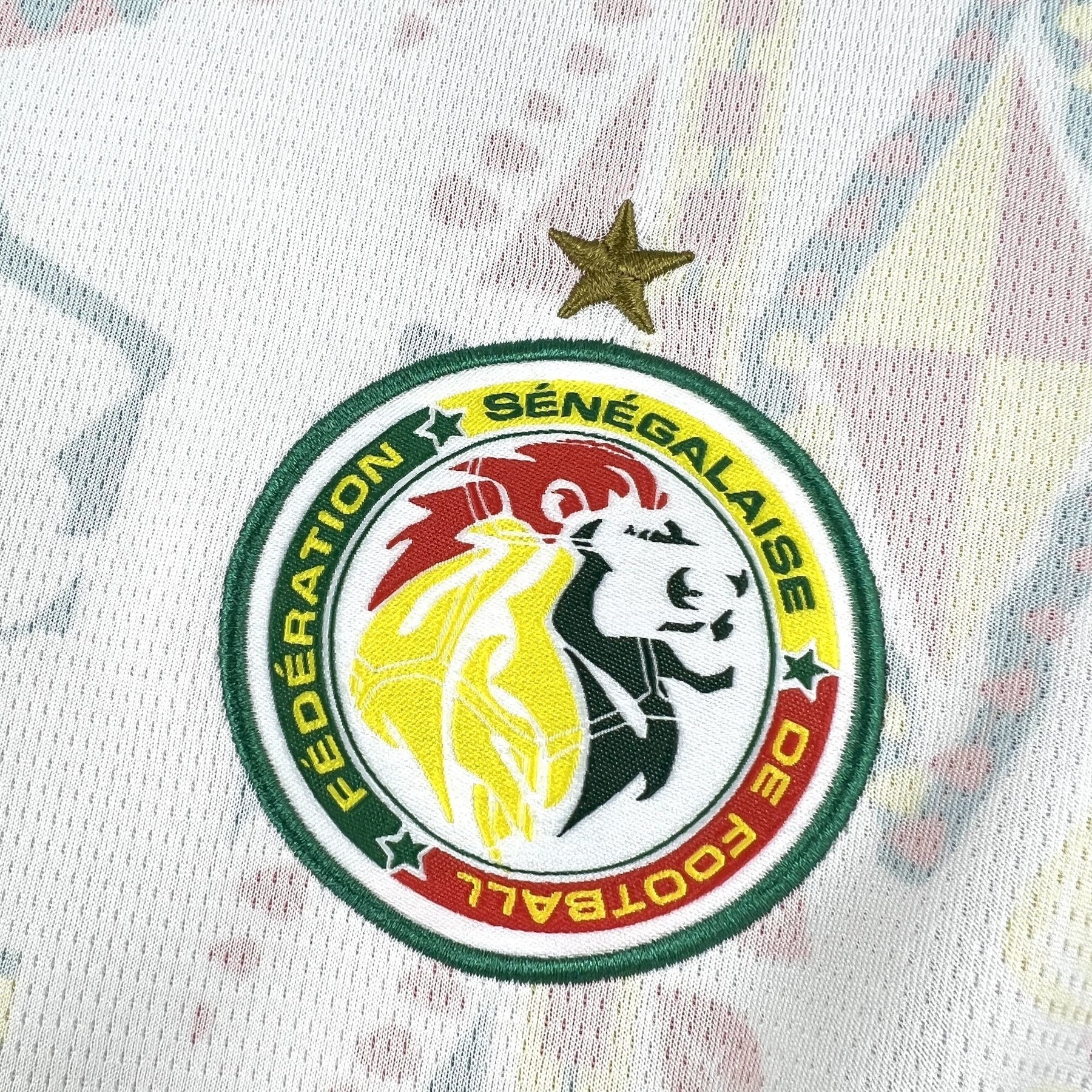 Camisa Senegal Home 26/27 - Masculina