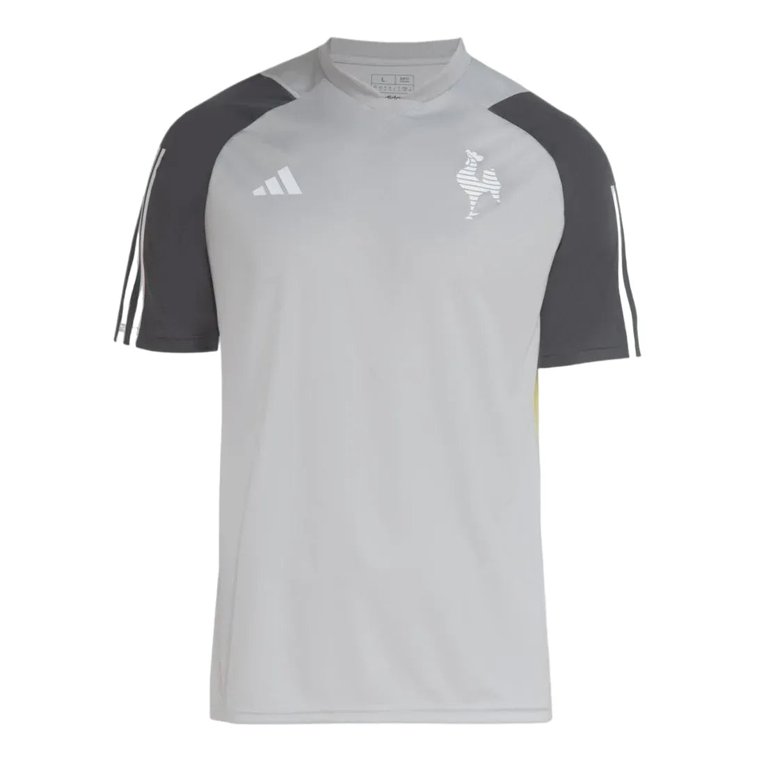 Camisa Galo Treino 24/25 - Cinza