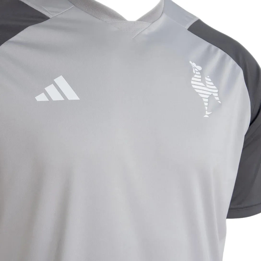 Camisa Galo Treino 24/25 - Cinza