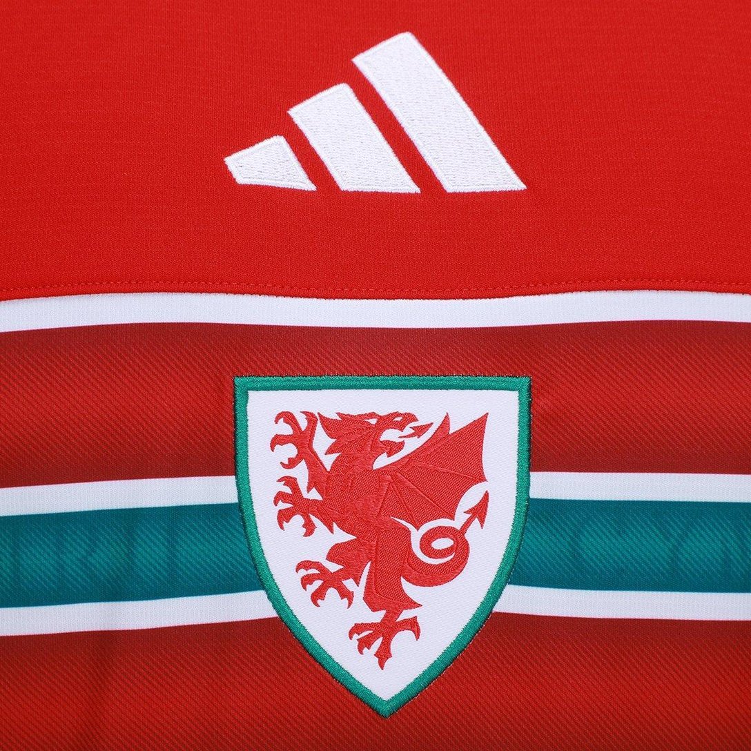 Camisa País De Gales 26/27 - Masculina