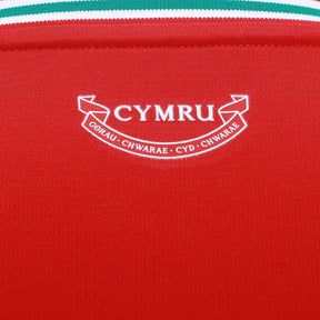 Camisa País De Gales 26/27 - Masculina