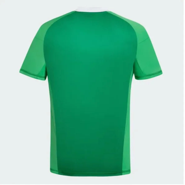 Camisa Argentina de Goleiro Edição Especial 2024/25 - Versão Jogador 50 Anos Verde